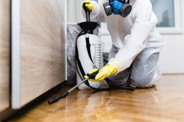 Best Wasp Removal Services  in Frenchtown, NJ