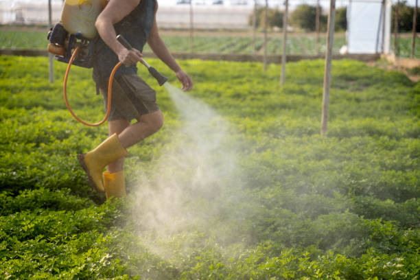 Best Local Pest Control Services  in Frenchtown, NJ