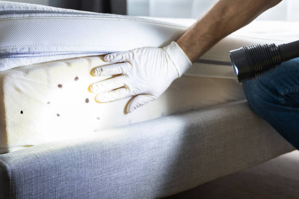 Trusted Frenchtown, NJ Pest Control Experts