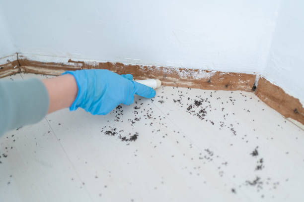 Best Pest Prevention Services  in Frenchtown, NJ